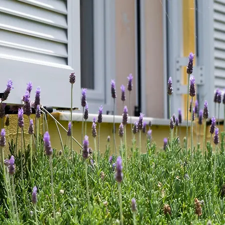 Holiday home Scorpina *