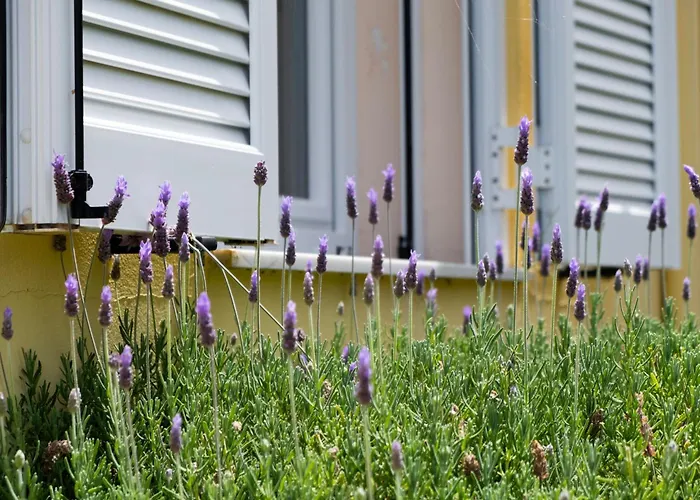 Ferienhaus Scorpina *